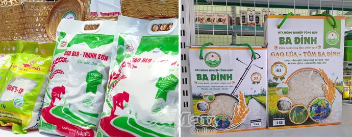 Hương gạo lan toả, công nghệ dẫn lối tương lai tại Cà Mau