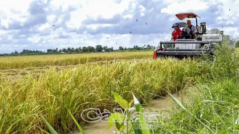 Xác lập vị thế nông - thuỷ sản trên trường quốc tế
