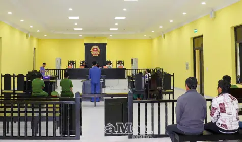 Lời biện minh vô nghĩa cho sai lầm