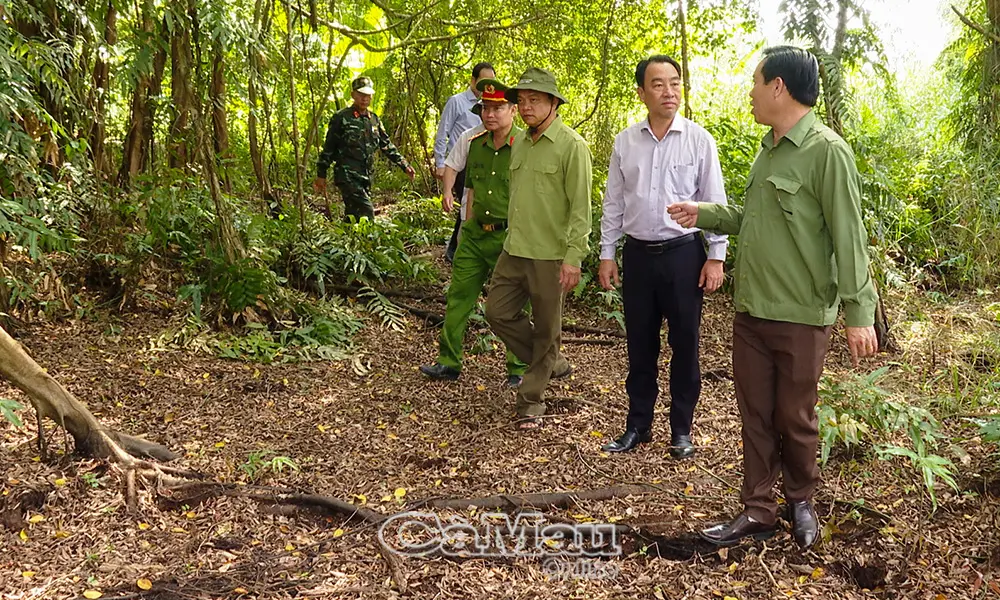 Tuyệt đối không lơ là, chủ quan trong phòng, chống cháy rừng