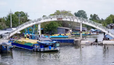 Thêm giải pháp chống ngập và xâm nhập mặn