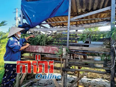 រវាសរវៃជម្នះលំបាក និងភាពក្រីក្រ