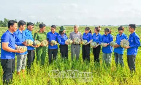 Tuổi trẻ Cà Mau xung kích, tình nguyện vì cộng đồng