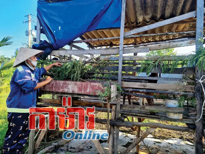 រវាសរវៃជម្នះលំបាក និងភាពក្រីក្រ