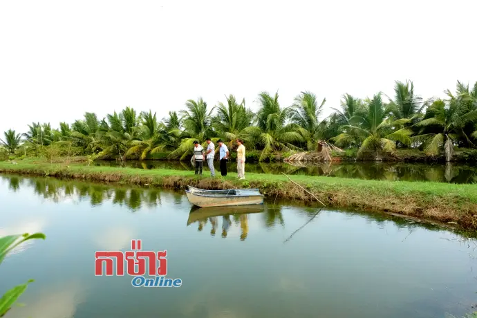 ផ្លាស់ប្តូរផ្នាត់គំនិតរកស៊ីបង្កើនប្រសិទ្ធភាពសេដ្ឋកិច្ច