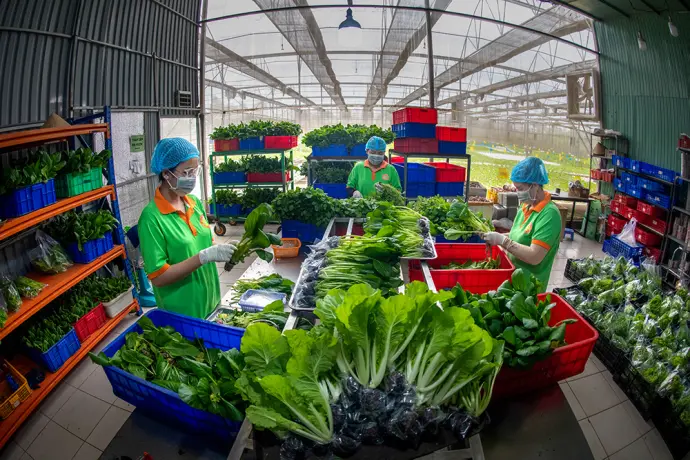 Thêm yêu cuộc sống