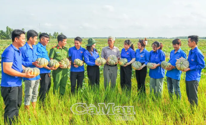 Tuổi trẻ Cà Mau xung kích, tình nguyện vì cộng đồng