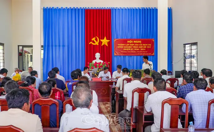 Thành lập Hợp tác xã Đê Tây, thúc đẩy phát triển vùng lúa - tôm