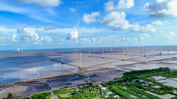 Cà Mau tiên phong phát triển kinh tế xanh gắn với tăng trưởng xanh