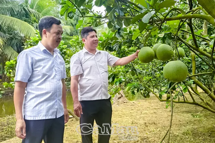 Trợ lực phát triển hợp tác xã