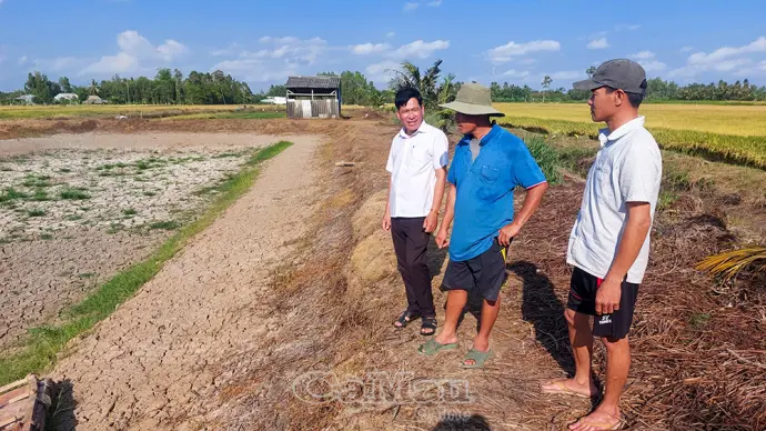 Nông dân khẩn trương vào vụ cá bổi mới