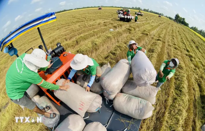 Xuất khẩu nông, lâm, thuỷ sản 3 tháng đầu năm 2026 ước đạt 16,69 tỷ USD