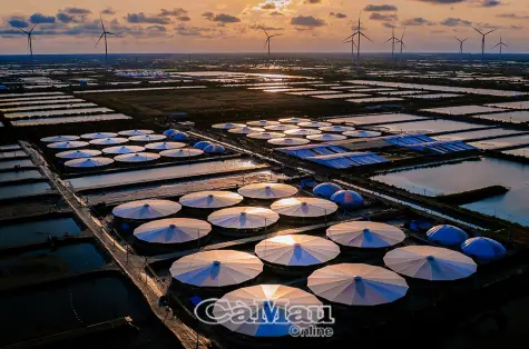 Làn gió mới của nhiếp ảnh Cà Mau