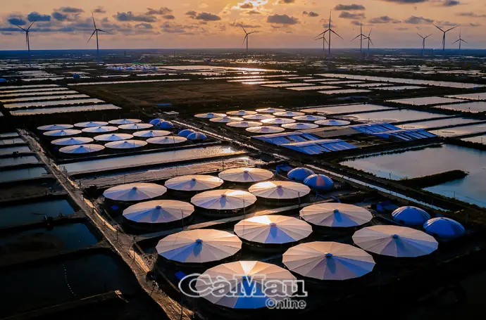 Làn gió mới của nhiếp ảnh Cà Mau