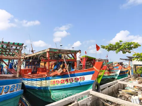 Nhiều tàu cá tạm ngưng hoạt động