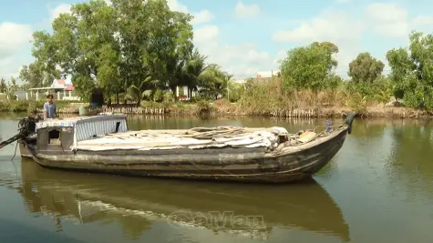 Biển Bạch gian nan “đợi nước” giữa tâm hạn mặn