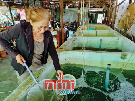 រួមដំណើរការ ជំនួយឧបត្ថម្ភបងប្អូននារីអភិវឌ្ឍន៍សេដ្ឋកិច្ច