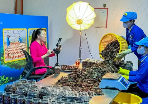 Chuyển đổi số: Nâng cao giá trị nông, thuỷ sản Cà Mau