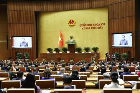 Khai mạc Kỳ họp thứ nhất, Quốc hội khoá XVI