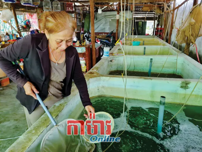 រួមដំណើរការ ជំនួយឧបត្ថម្ភបងប្អូននារីអភិវឌ្ឍន៍សេដ្ឋកិច្ច