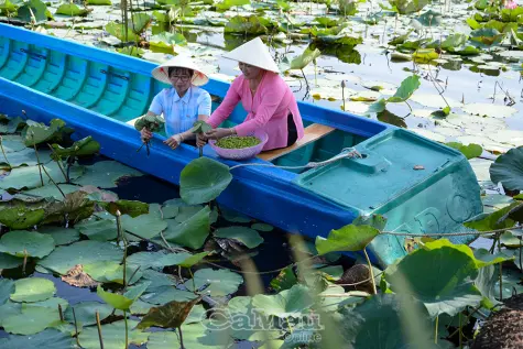 Tăng nguồn thu từ sản xuất đa canh