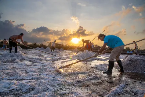 Niềm vui trở lại trên cánh đồng muối