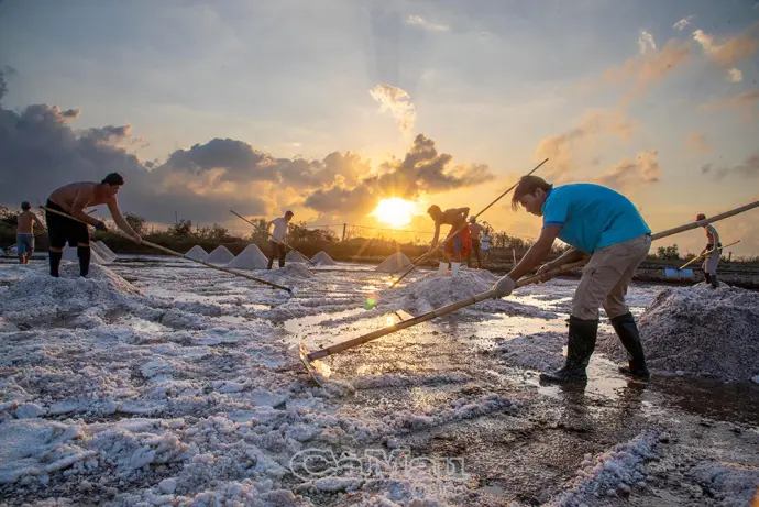 Niềm vui trở lại trên cánh đồng muối