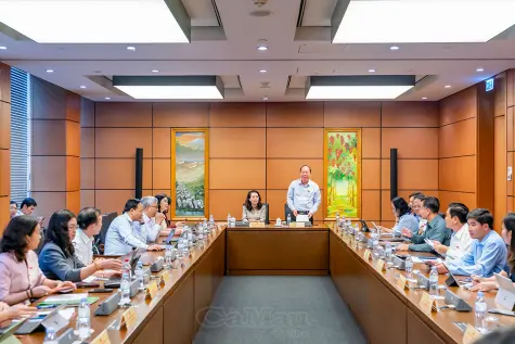 Hoàn thiện thể chế, bảo đảm tính khả thi của chính sách