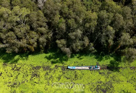 Quyết tâm giữ màu xanh của rừng trong cao điểm mùa khô