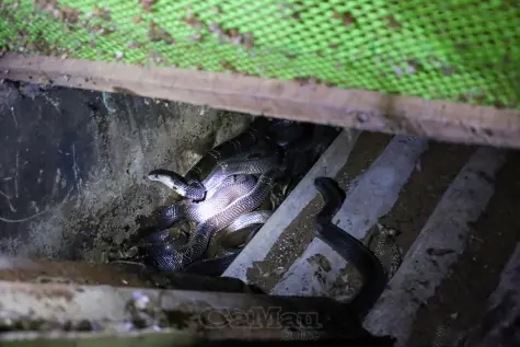 Mạnh dạn tìm hướng đi mới phát triển kinh tế