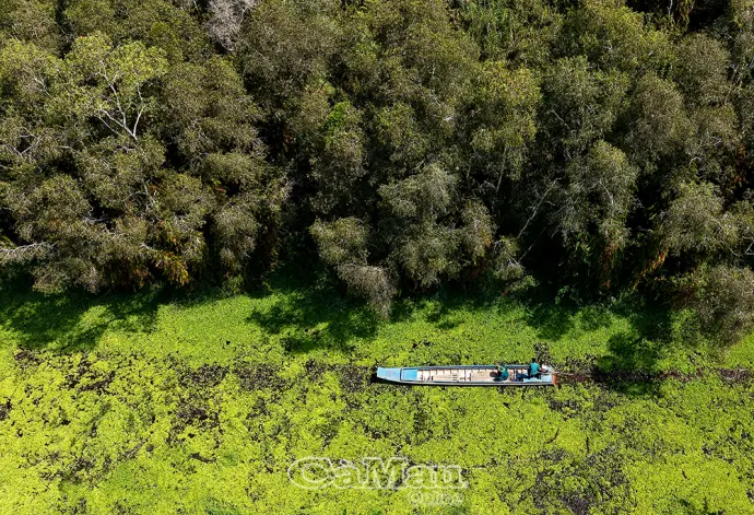 Quyết tâm giữ màu xanh của rừng trong cao điểm mùa khô