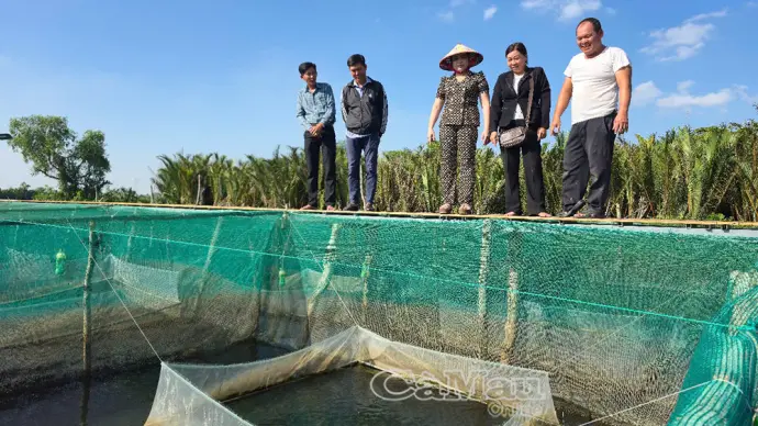 Khai thác phế phẩm, nâng giá trị sản xuất nông nghiệp