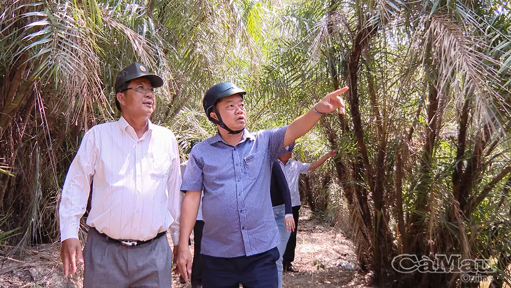 Đánh thức tiềm năng du lịch sinh thái và siết chặt quản lý rừng phòng hộ