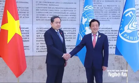 Chủ tịch Quốc hội Trần Thanh Mẫn gặp Tổng Giám đốc Tổ chức Nông nghiệp và Lương thực Liên hợp quốc