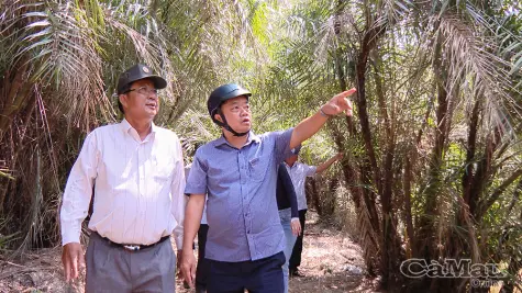 Đánh thức tiềm năng du lịch sinh thái và siết chặt quản lý rừng phòng hộ