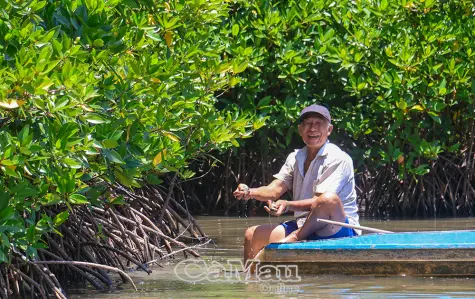 Những hạt nhân tiên phong giữ rừng, tạo sinh kế bền vững