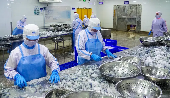 Thương mại - dịch vụ tăng tốc