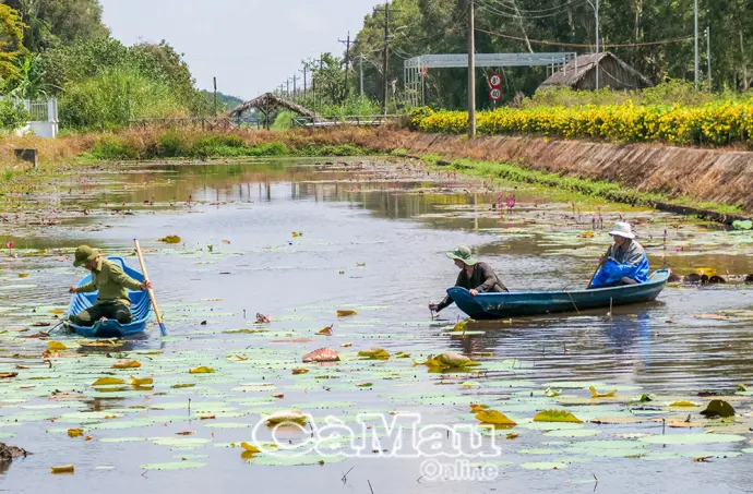 Vườn Quốc gia U Minh Hạ sẵn sàng cho sự kiện “Hương rừng U Minh” 2026