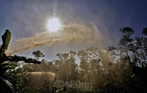 Gần 20.000 ha rừng U Minh Hạ ở mức cảnh báo cháy cực kỳ nguy hiểm