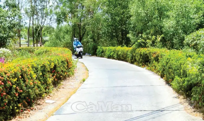 Tân Thuận, tăng tốc hoàn thiện hạ tầng giao thông nông thôn