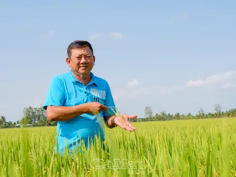 Gạo BL9 kỳ vọng thương hiệu gạo ngon