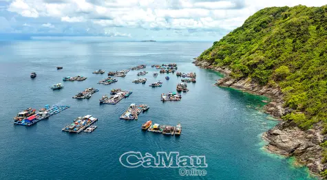 Nghề nuôi biển dần định hình