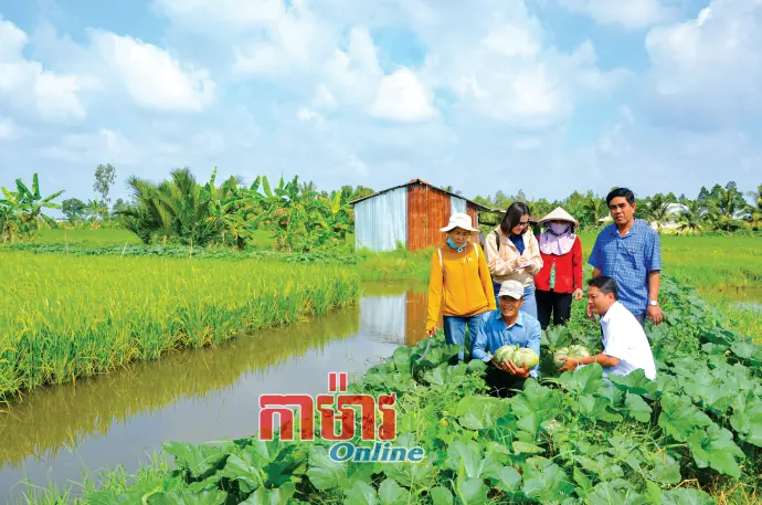 អភិវឌ្ឍប្រកបដោយចីរភាពនៃតំបន់ជនជាតិភាគតិច