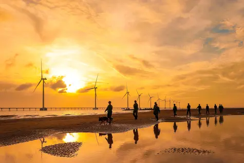 Kể chuyện bằng hình ảnh