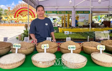 Thông điệp sản xuất xanh từ Cuộc thi “Gạo ngon đồng bằng sông Cửu Long”