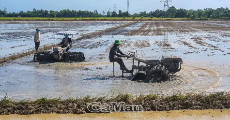 Tuân thủ lịch thời vụ, "né mặn" hiệu quả