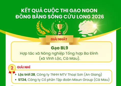 Kết quả Cuộc thi gạo ngon ĐBSCL 2026