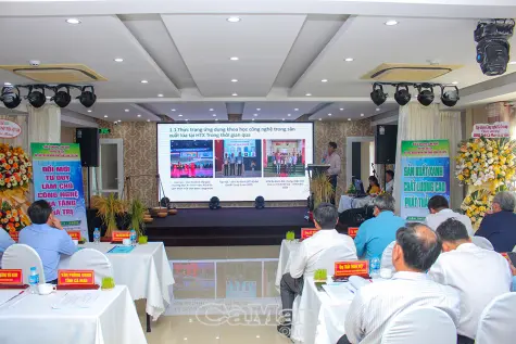 Lúa gạo Cà Mau hướng tới giảm phát thải, tăng giá trị