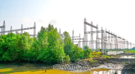 Đóng điện giai đoạn 1 tuyến 110 kV Năm Căn, tăng cường ổn định điện cho khu vực phía Nam Cà Mau