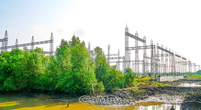 Đóng điện giai đoạn 1 tuyến 110 kV Năm Căn, tăng cường ổn định điện cho khu vực phía Nam Cà Mau
